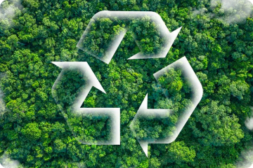 A CEOs Guide to Circularity: Building a Sustainable Business Model